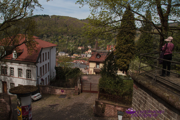 Heidelberg2015-003