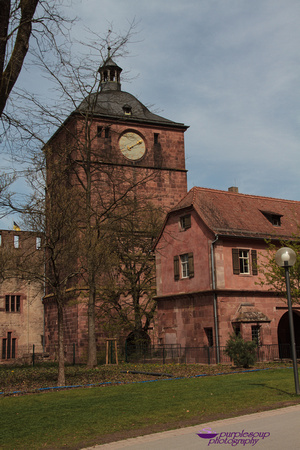 Heidelberg2015-006