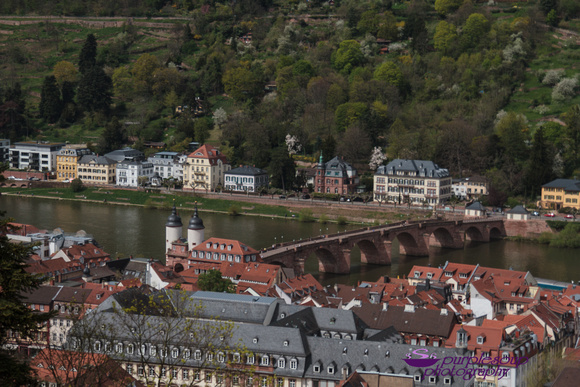 Heidelberg2015-011