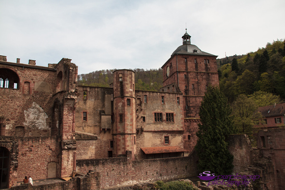 Heidelberg2015-014
