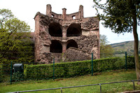 Heidelberg2015-020
