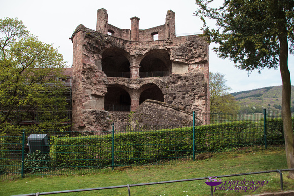 Heidelberg2015-020