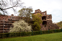 Heidelberg2015-019
