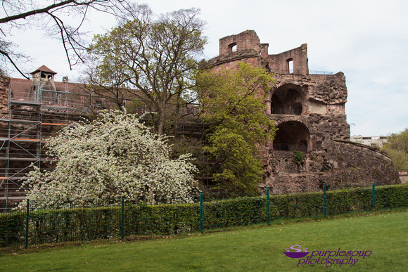 Heidelberg2015-018