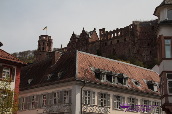 Heidelberg2015-002