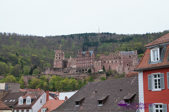 Heidelberg2015-109