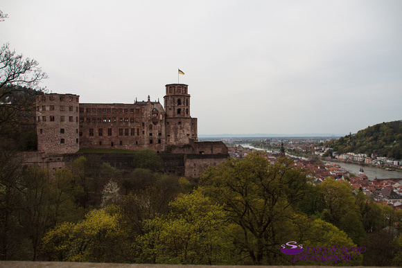Heidelberg2015-029