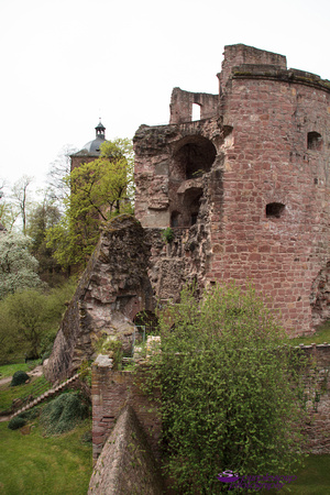 Heidelberg2015-025