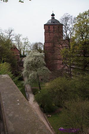 Heidelberg2015-023