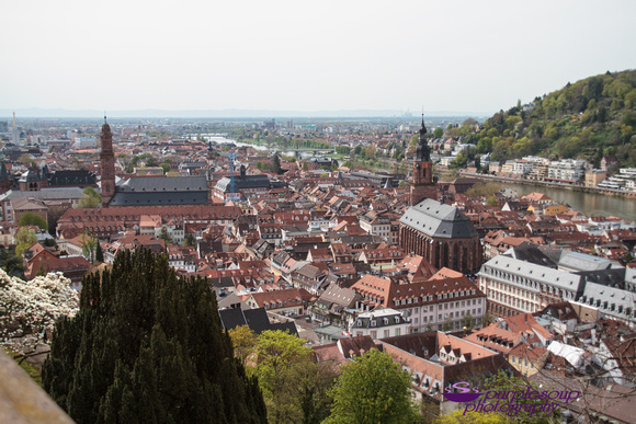 Heidelberg2015-065
