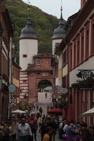 Heidelberg2015-105