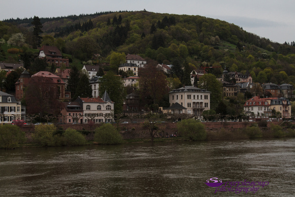 Heidelberg2015-107