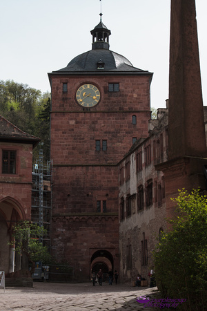 Heidelberg2015-071