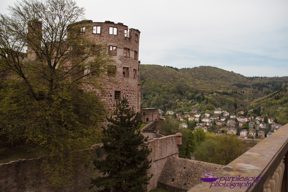 Heidelberg2015-026