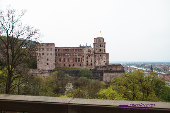 Heidelberg2015-028