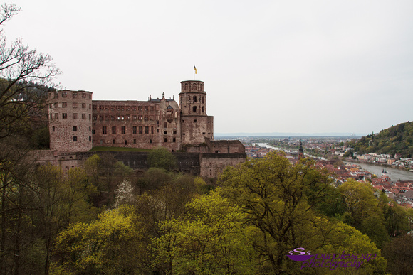 Heidelberg2015-034