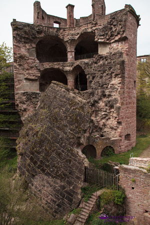 Heidelberg2015-021