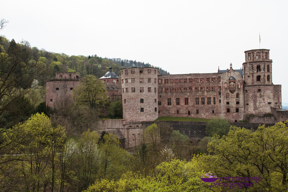 Heidelberg2015-036