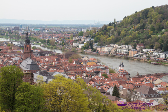 Heidelberg2015-035