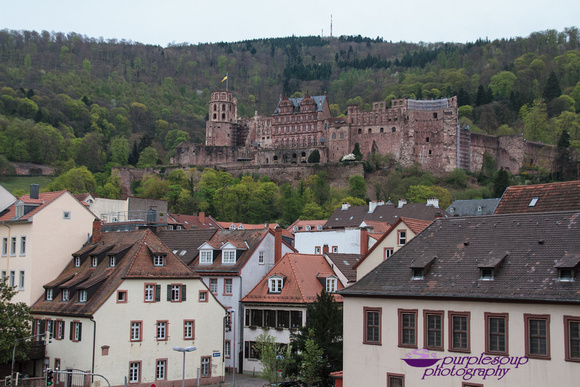 Heidelberg2015-112