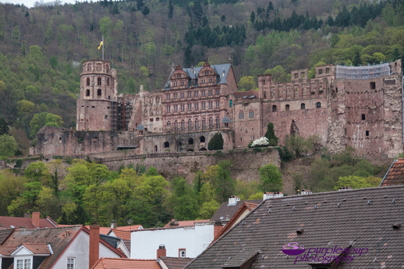 Heidelberg2015-110