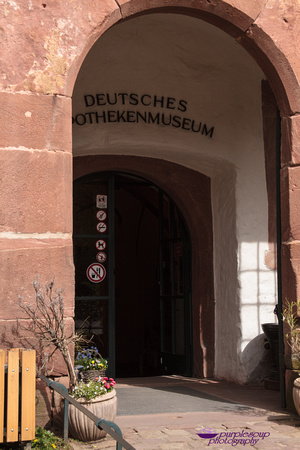 Heidelberg2015-072